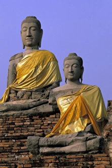 Ayuthaya Prints: Thailand, Ayuthaya. Buddha statues