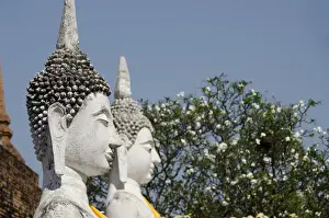 Images Dated 25th February 2012: Thailand, Ayutthaya. Wat Phra Chao Phya-thai (aka Wat Yai Chai-mongkol)