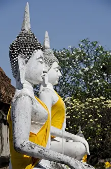 Images Dated 25th February 2012: Thailand, Ayutthaya. Wat Phra Chao Phya-thai (aka Wat Yai Chai-mongkol)