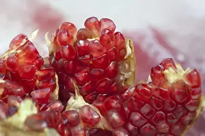 Select Focus Prints: Thailand, Bangkok. Fresh pomegranate on ice sold on the street raw or made into juice