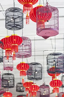 Still Life Prints: Thailand, Bangkok. Siam Square, display of red lanterns and birdcages