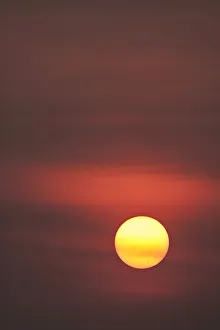 Bangkok Prints: Thailand, Bangkok. Sunset in a hazy sky