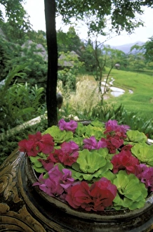 South East Asia Prints: Thailand, Chiangmai. Grounds of Regent Resort