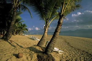 Beach Front Prints: Thailand, Koh Samui Island. Beachfront