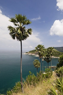 Images Dated 3rd April 2006: Thailand, Phuket, Phromthep Cape