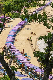 Prints of Thailand, Phuket. Umbrellas and chairs on the sandy beach Asia Prints: Thailand, Phuket. Umbrellas and chairs on the sandy beach