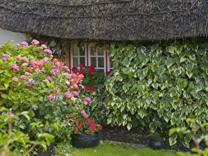 Images Dated 14th July 2007: Thatched cottage