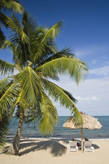 Images Dated 18th November 2006: Thatched palapas, palm tree and lounge chairs on beach, looking out to Caribbean Sea