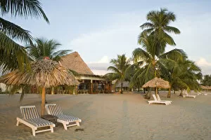 Images Dated 16th November 2006: Thatched palapas, palm trees and lounge chairs on beach, Jaguar Reef Lodge, Hopkins