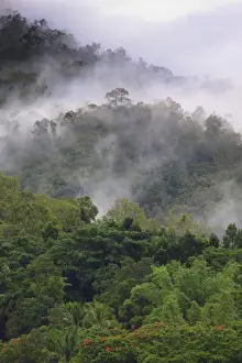 Images Dated 20th January 2013: Thick cloud covers the tropical rainforest covered mountains that surround Cairns