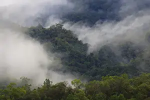 Queensland Prints: Thick cloud covers the tropical rainforest covered mountains that surround Cairns