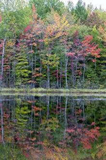 Prints of Thornton Lake in fall color, Alger County, Michigan Images Dated 2020 May: Thornton Lake in fall color, Alger County, Michigan