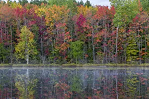 Images Dated 29th May 2020: Thornton Lake in fall color, Alger County, Michigan