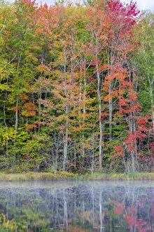 Thornton Lake in fall color, Alger County, Michigan