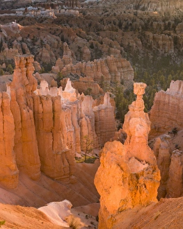 Bryce Prints: Thors hammer. Hoodoo. Bryce Canyon National Park. Utah. US