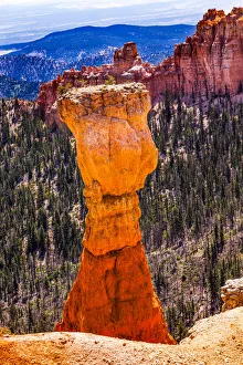 Images Dated 2021 April: Thors Hammer Hoodoo, Bryce Point, Bryce Canyon National Park, Utah