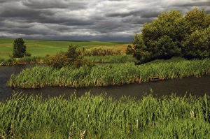 Rolling Prints: Threatening Clouds and Storm, Paloause, Whitman County, Washington, USA