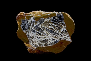 Natural Pattern Prints: Thunderegg Agate, Quartzsite, AZ