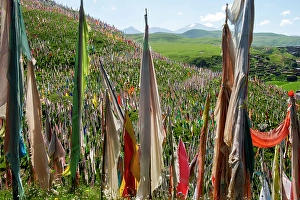 Images Dated 25th June 2024: Tibet, Kham, Tagong. Prayer flags on hill