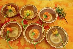 Images Dated 25th June 2024: Tibet, Kham, Tagong. Tibetan nomad celebration at Buddhist flower festival