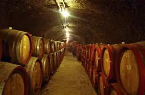 Hungarian Prints: The Tibor Gal (GIA) winery in Eger (famous for Egri Bikaver): underground tunnels