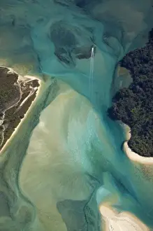 South Is Prints: Tidal Patterns, Awaroa Inlet, Abel Tasman National Park, Nelson Region, South Island