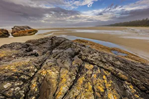 Tide Pool Prints: Tide pools along the Pacific Ocean coastline in Pacific Rim National Park Reserve near Tofino
