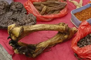 Images Dated 6th June 2006: Tiger leg bones and feet with claws together herbal medicine being sold by Tibetans