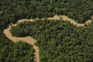 Images Dated 7th June 2007: Tiguino River in Yasuni National Park. Amazon Rain Forest. ECUADOR. South America