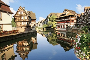 Swan Prints: Timbered buildings, La Petite France Canal, Strasbourg, Alsace, France, Europe
