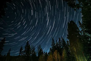 Lake Tahoe Prints: Time lapse photograph showing star trails above the forest near Lake Tahoe, CA