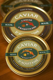 Images Dated 30th May 2005: Two tins of Caviar d Aquitaine Royale from Caviar & Traditions Caviar