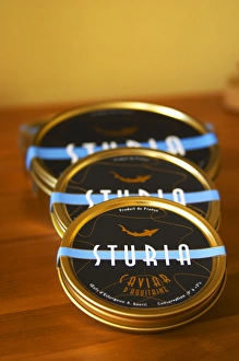 Images Dated 30th May 2005: Three tins of Caviar d Aquitaine Sturia Caviar et Prestige Saint