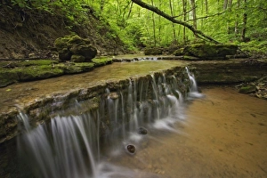 Shelf Prints: Tiny creek cascading off shelf, near Louisville, Kentucky