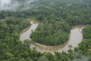 Tiputini River and Rainforest, Yasuni National Park, Amazon Rainforest, ECUADOR
