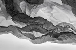 Black And White Prints: Tissue Paper on Light abstracts