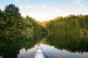 Kayak Prints: Tod Inlet, Brentwood, Saanich Peninsula, British Columbia, Canada