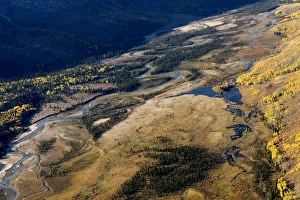 Images Dated 3rd October 2009: Todagin South Slope Provincial Park, British Columbia