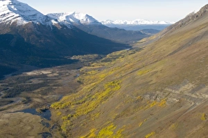 Western Canada Prints: Todagin South Slope Provincial Park, British Columbia