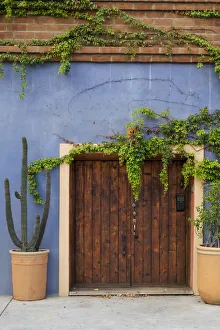 South America Prints: Todos Santos, Mexico. Wooden doorway in a blue stucco wall with ivy