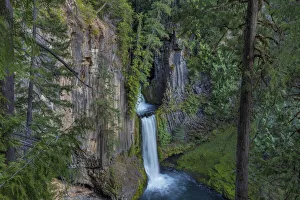 Images Dated 2021 April: Toketee Falls runs over basalt columns in the Umpqua National Forest, Oregon, USA