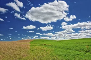 Kansas Prints: Two toned hill in the Flint Hills of Kansas