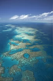 Images Dated 5th October 2007: Tongue Reef, Great Barrier Reef Marine Park, North Queensland, Australia - aerial