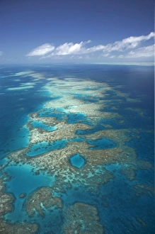 Images Dated 5th October 2007: Tongue Reef, Great Barrier Reef Marine Park, North Queensland, Australia - aerial