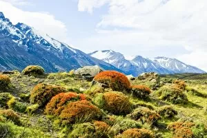 Torres Del Paine National Park, Region 12, Chile, Patagonia