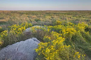 Touch the Sky Prairie southwest, Minnesota