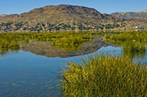 Titicaca Prints: Tourism is thriving on Lake Titicaca, Peru