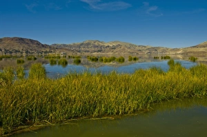 Images Dated 28th July 2010: Tourism is thriving on Lake Titicaca, Peru