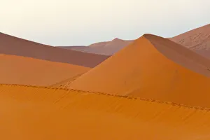 Images Dated 10th September 2018: Tourists hiking on sand Dune 45 in southern Namib Desert