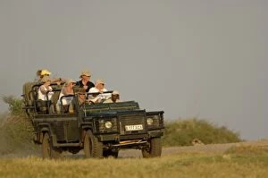 Tourists watching lions. Okavango Delta. BOTSWANA. Southern Africa